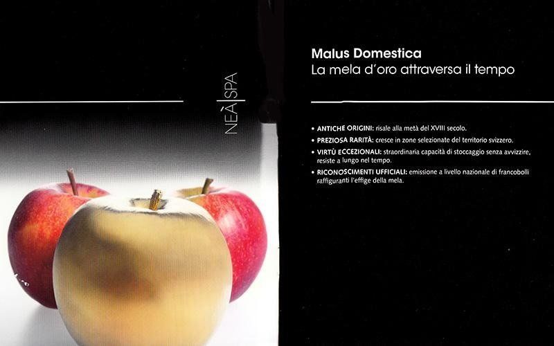 Promozione cosmetici