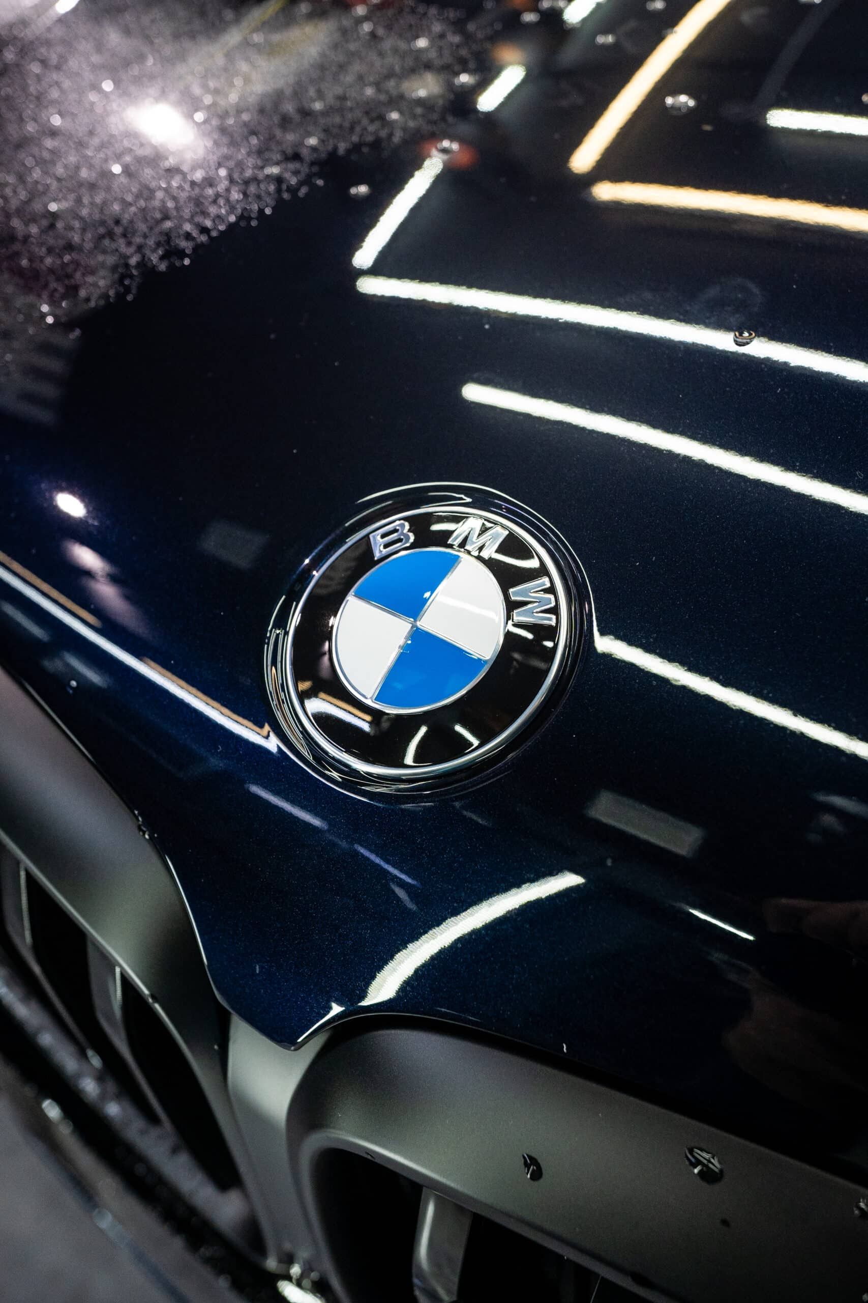 A close up of a bmw emblem on the hood of a car.