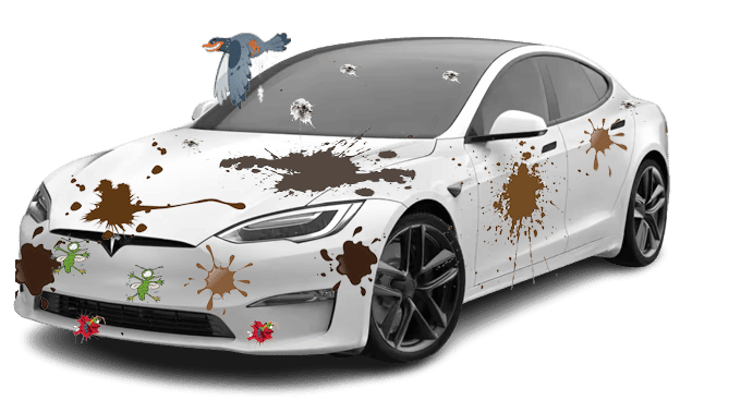 A white tesla model s with a lot of stains on it.