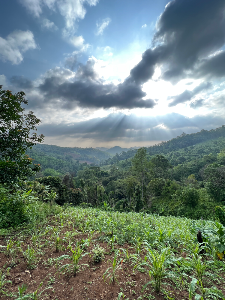 Landscape background