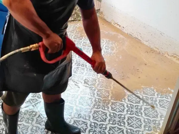 BLISS Clean & Care | Specialty Services