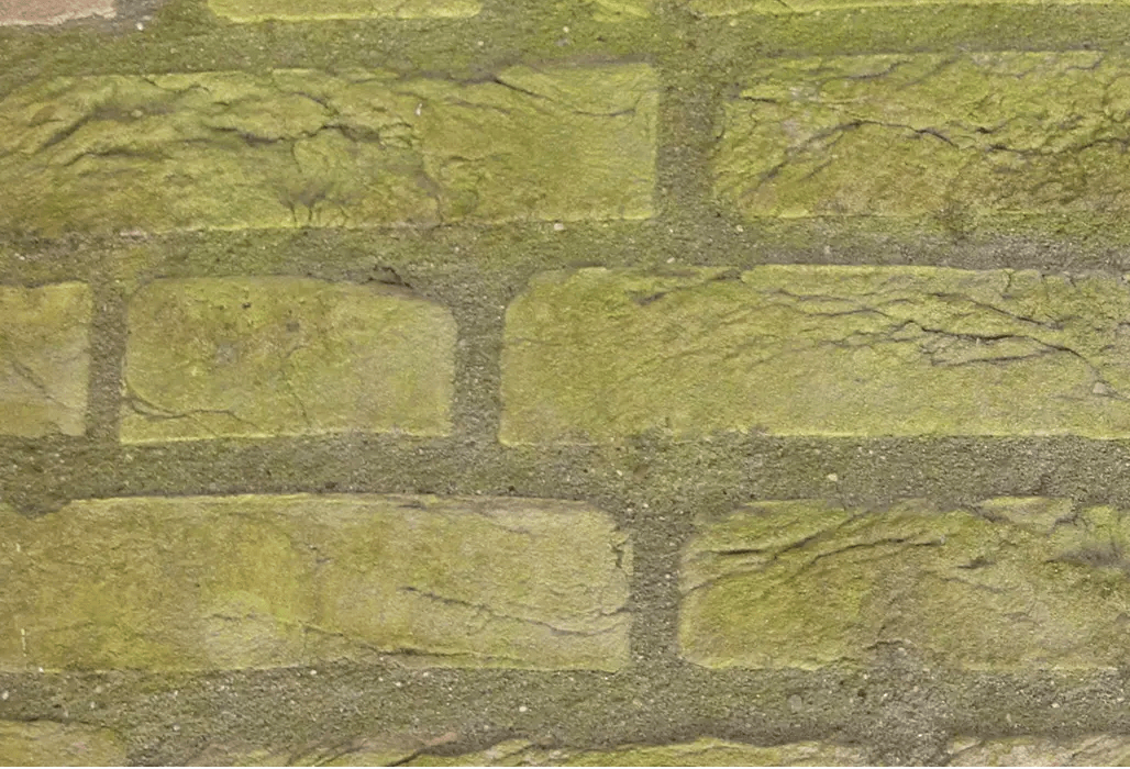 Een close-up van een bakstenen muur met mos erop.