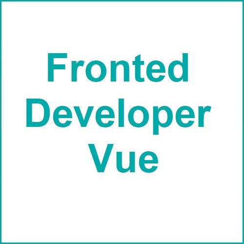 Hoogeveen | Frontend Developer Vue, Vuetify