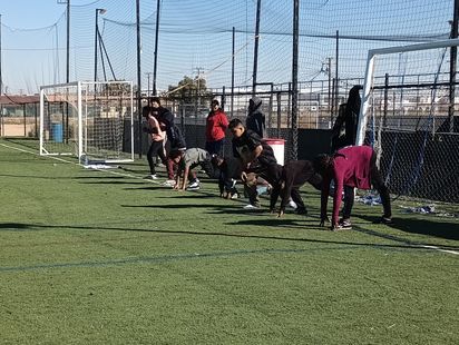 a group of people are doing push ups on a field .