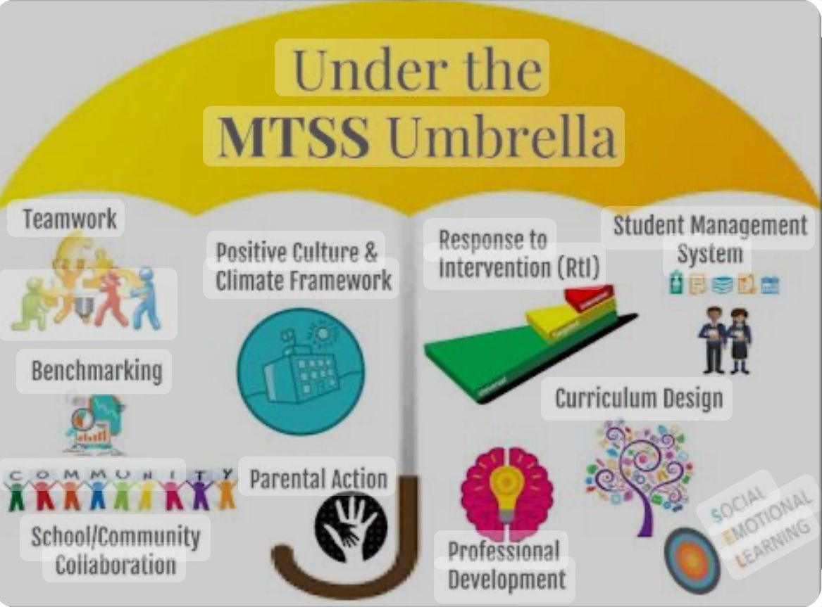 A poster that says under the mtss umbrella