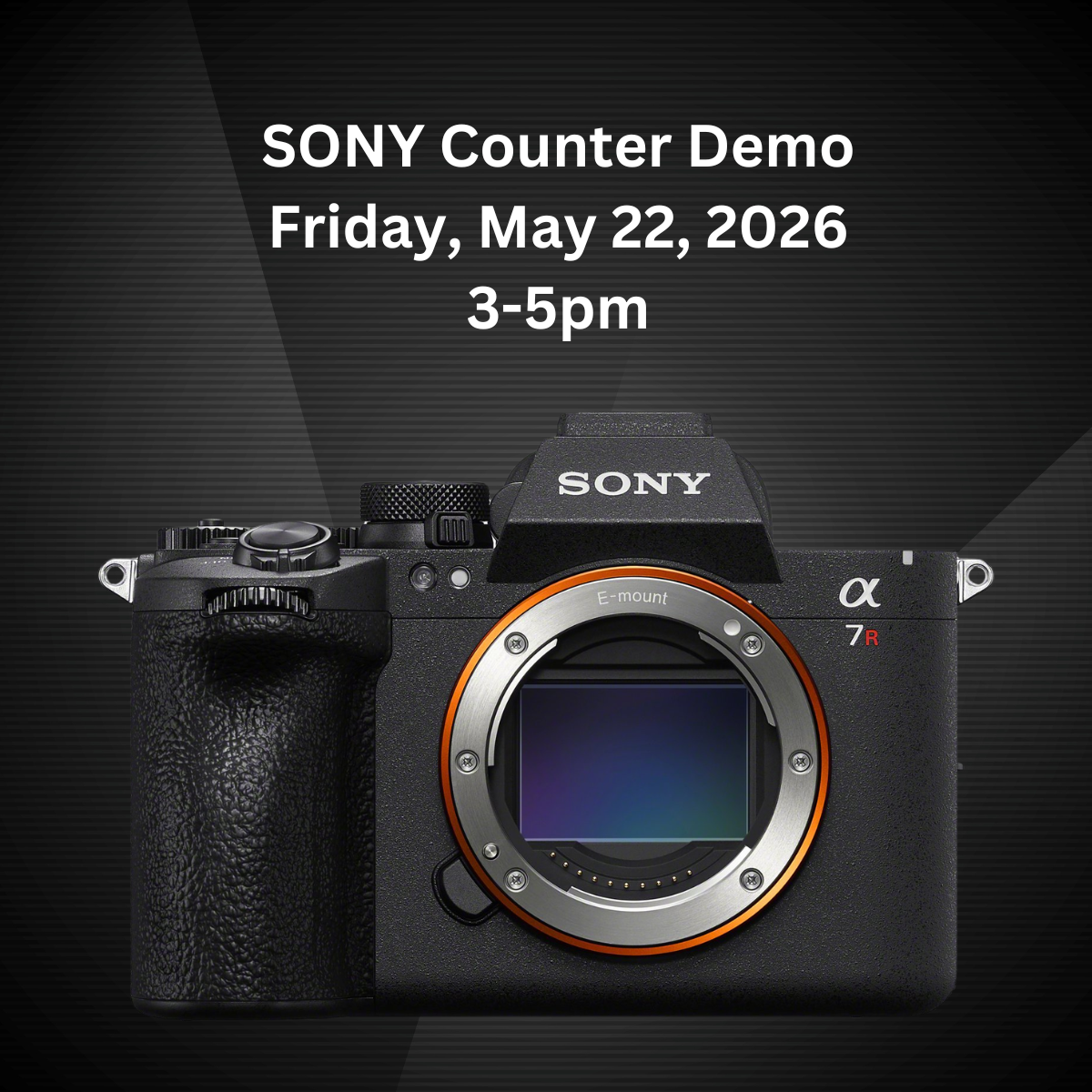 Sony Demo image
