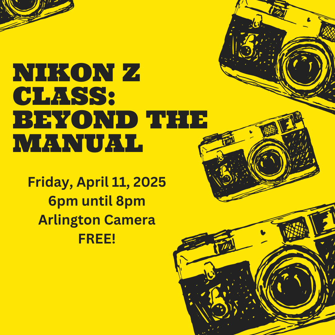 Nikon Z Class: Beyond the Manual image