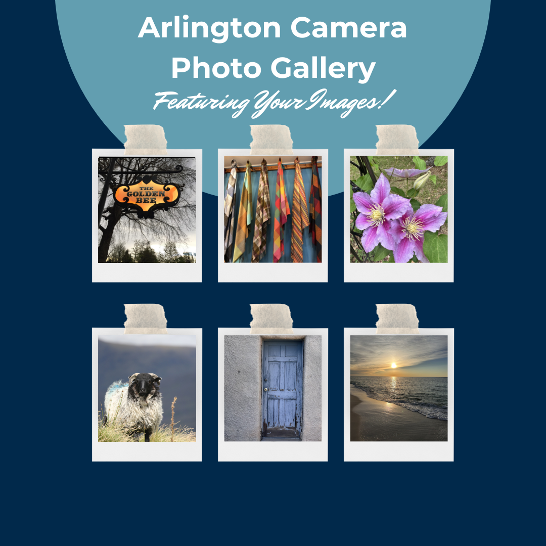 Arlington Camera Photo Gallery image