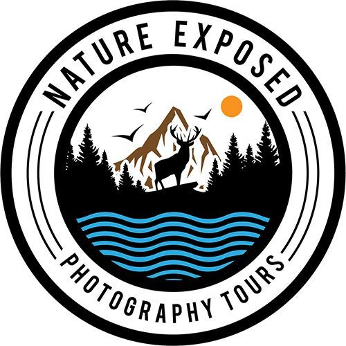 All About Nature Photography with Nature Exposed Tours image