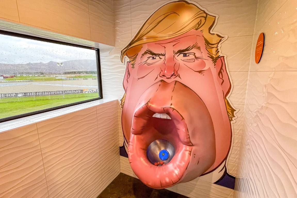 A humorous depiction of urinals with Donald Trump's face - loo with a view