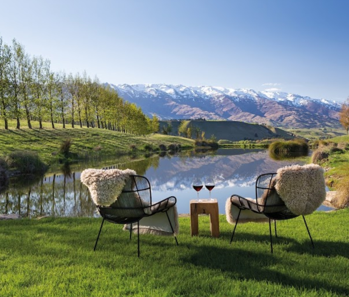 A picturesque vineyard landscape, showcasing rows of grapevines against a backdrop of scenic hills and clear skies