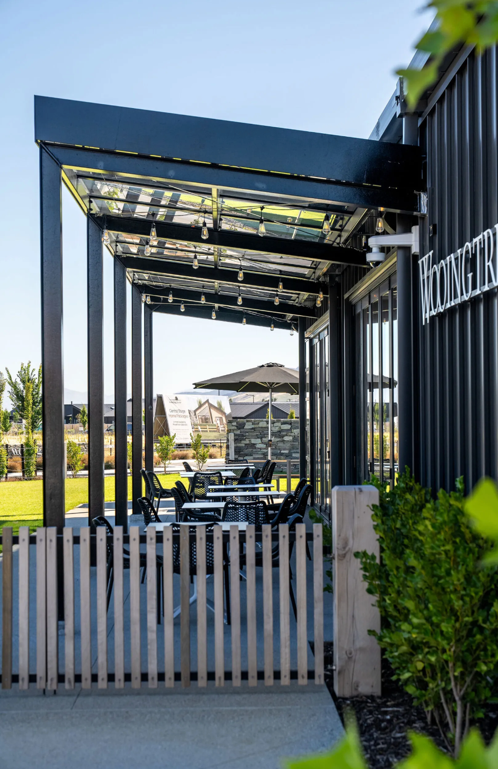 A scenic vista of neatly arranged grapevines against a backdrop of rolling hills