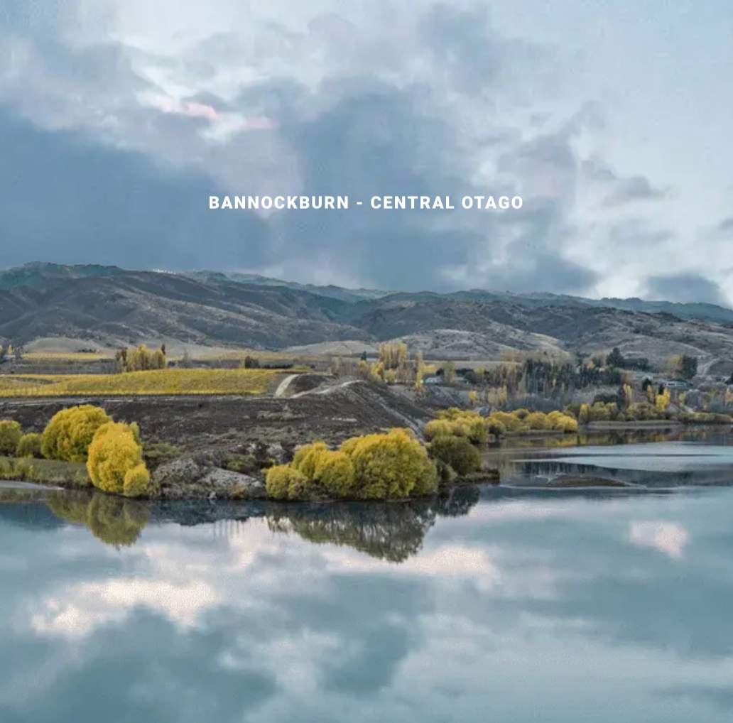 A great outlook over the inlet in Bannockburn, wine tasting, woodfired pizzas