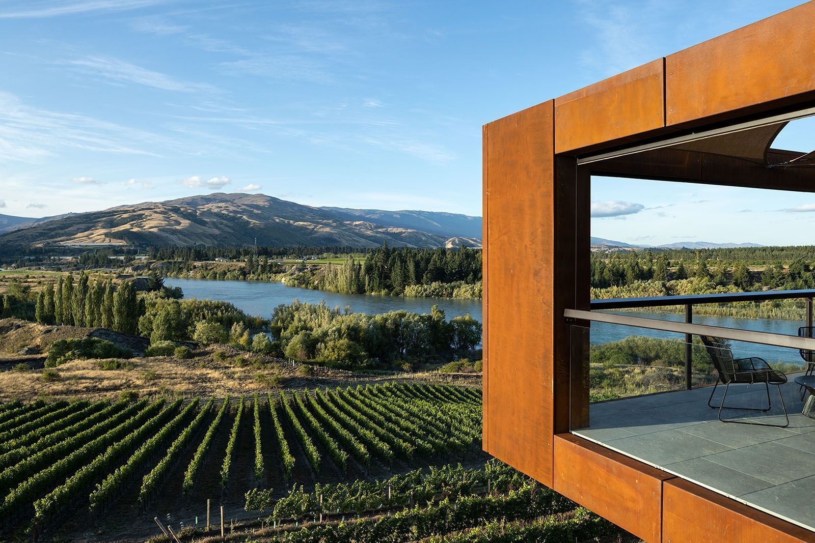 Rows of lush grapevines at Te Kano Estate Vineyard, promising a delightful wine tasting experience