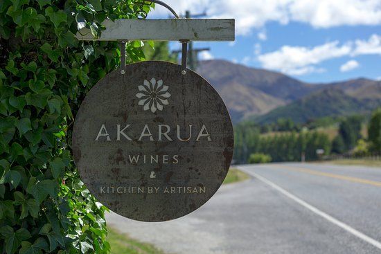 Rows of vines set amidst Central Otago's scenic landscape, embodying the region's renowned wine-making tradition