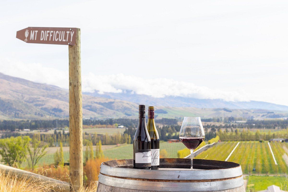 A stunning view of the vineyard nestled amidst Central Otago's rolling hills near Bannockburn
