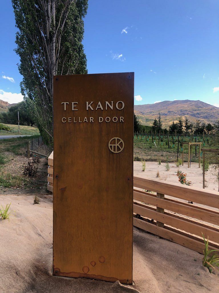 Rows of lush grapevines at Te Kano Estate Vineyard, promising a delightful wine tasting experience