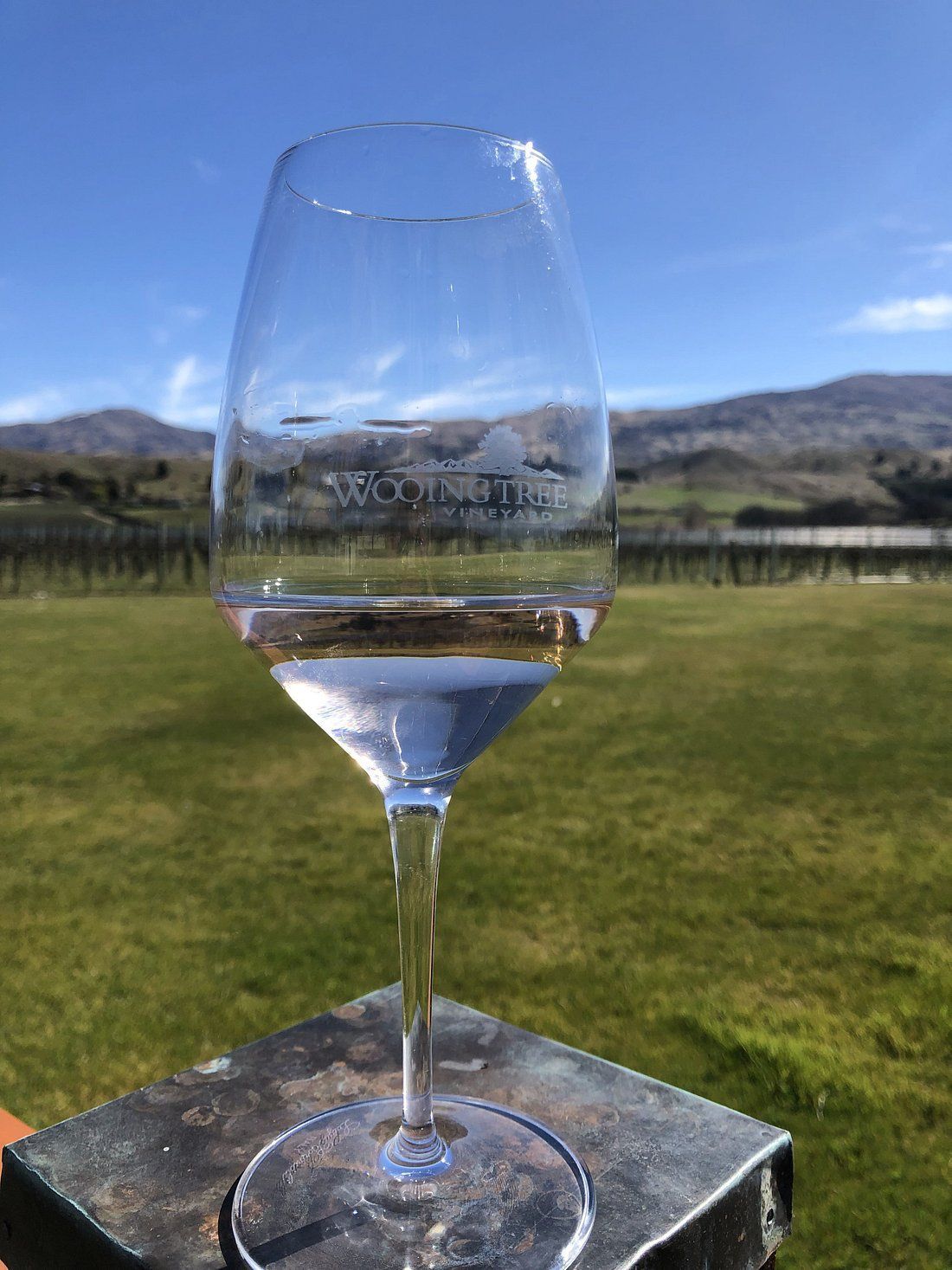 A scenic vista of neatly arranged grapevines against a backdrop of rolling hills