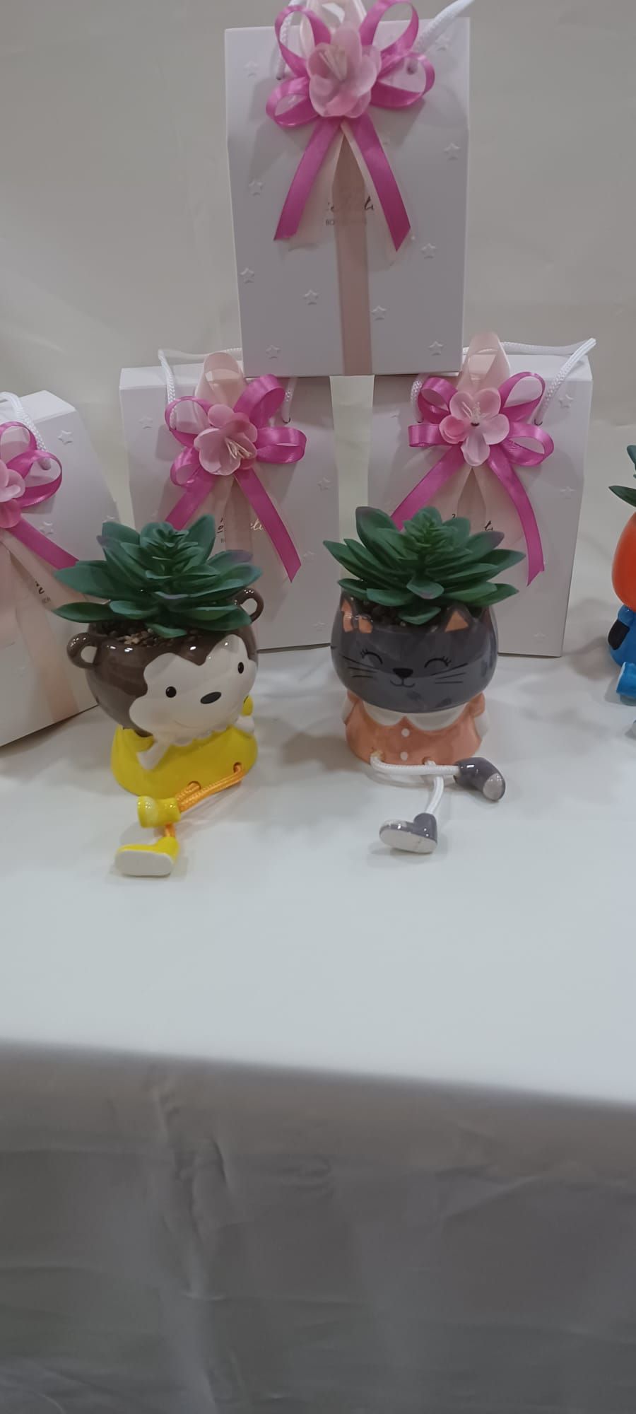 Un paio di piante in vaso appoggiate su un tavolo.