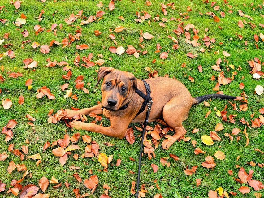 Linha Instalações e Serviços
