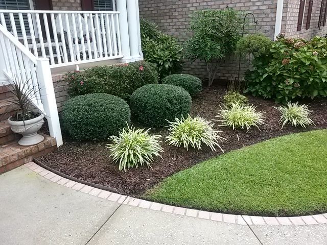 A Backyard With a Wooden Fence — Leland, NC — Clarida's Cleaning and Hauling Services.
