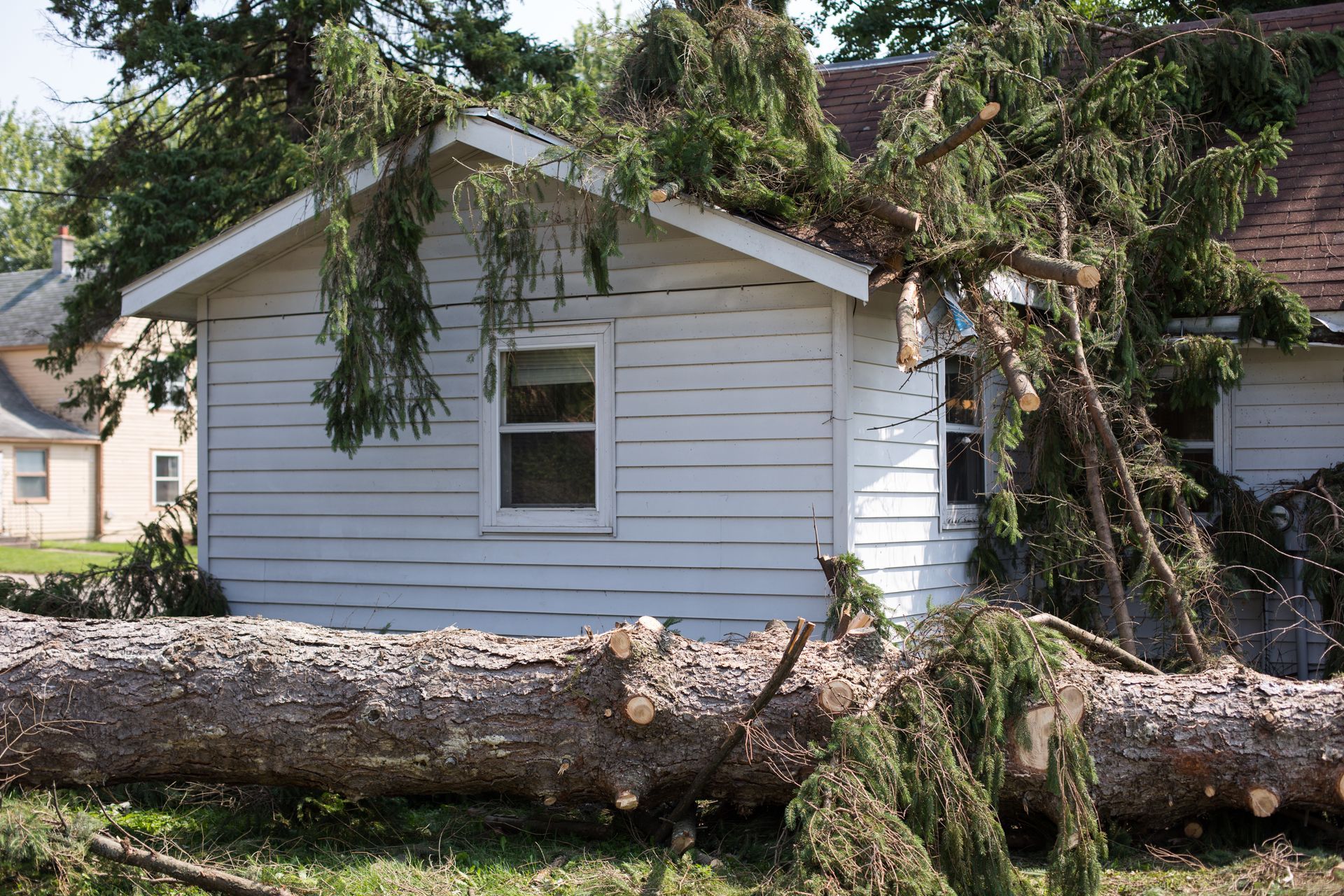 A white house with a tree fallen on it
