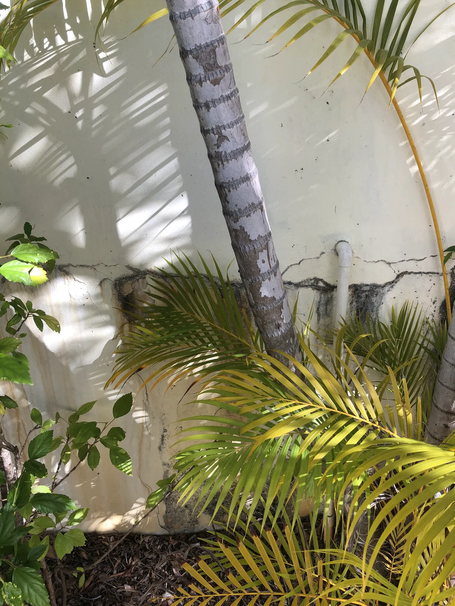 Garden Bed Retaining Wall Leak