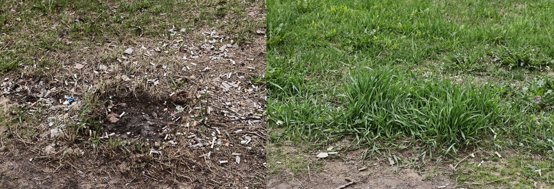 A before and after picture of a lawn with brown grass and green grass.