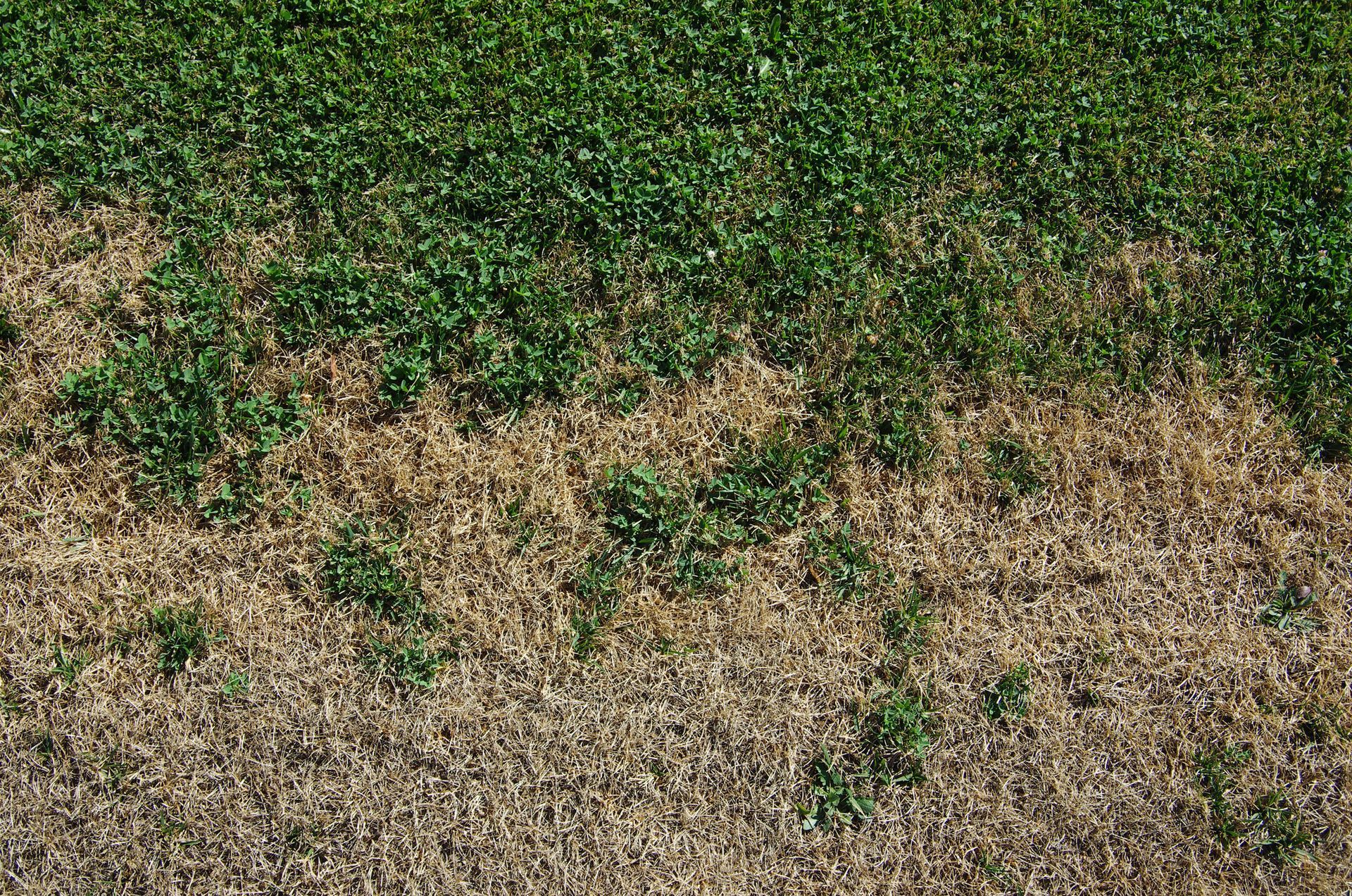 An aerial view of a field of grass and dirt.