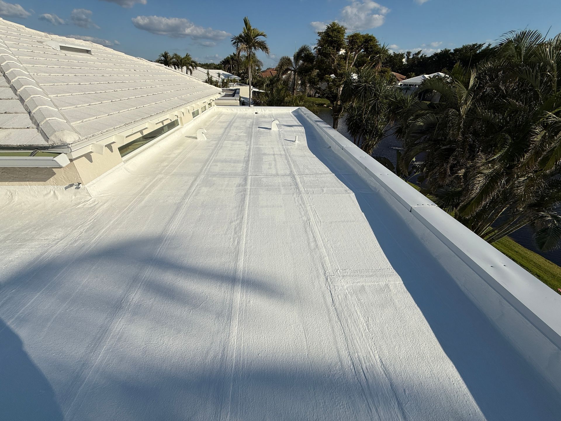 White roof of a building with a flat section, surrounded by palm trees and blue sky.