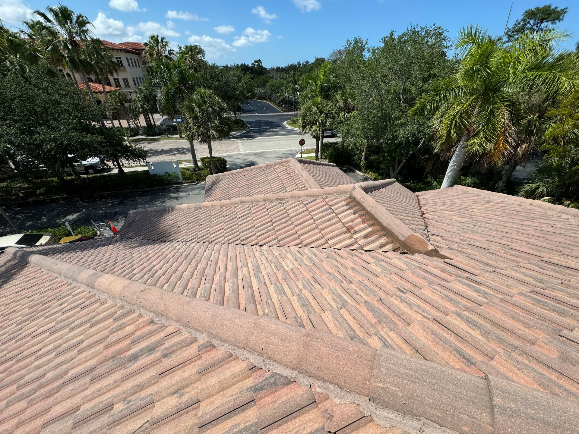Overhead view of a terracotta tile roof with street and trees in the background under a blue sky.