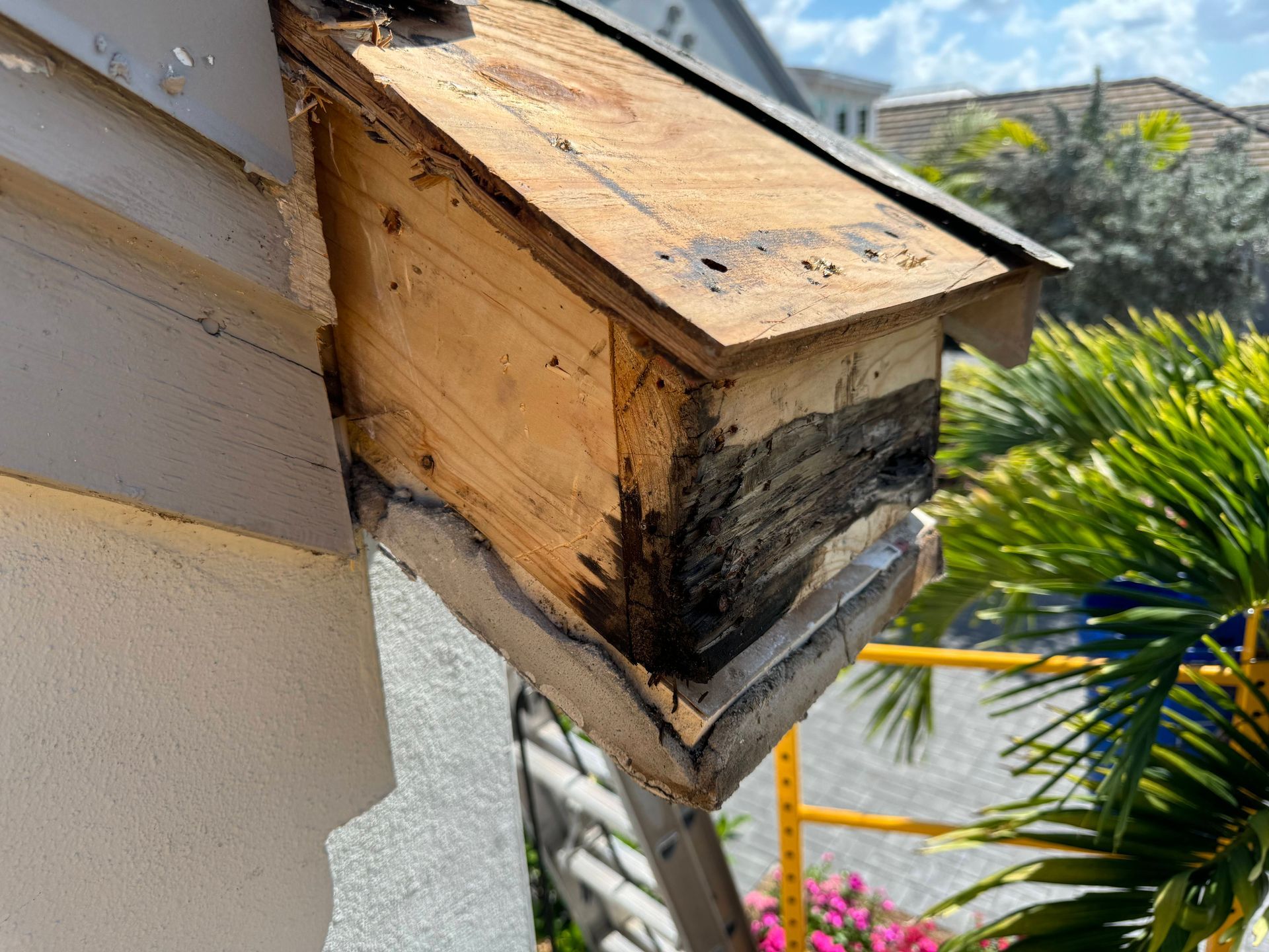 Damaged wooden structure on the side of a building, likely part of an eave.