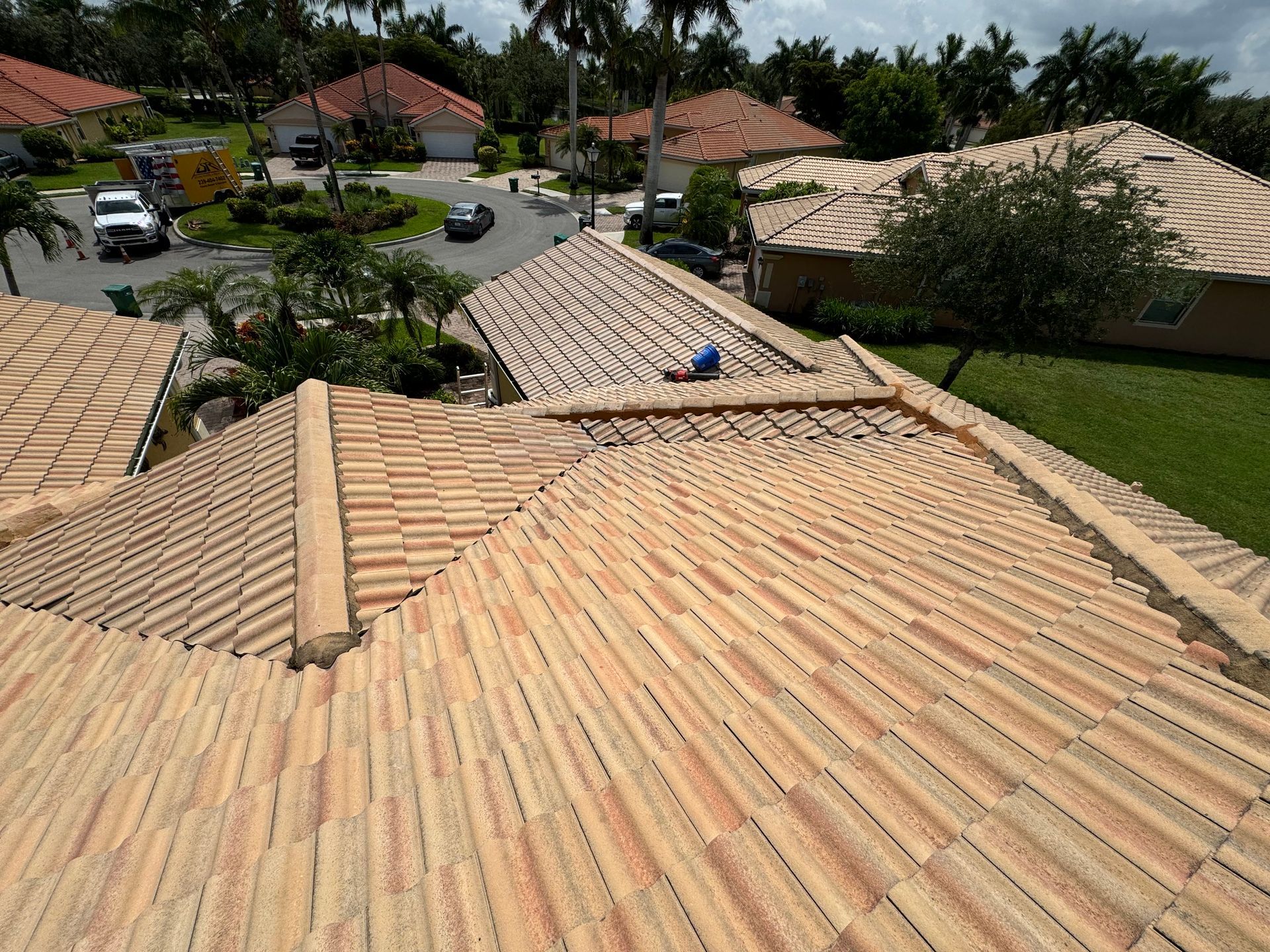 Clay tile rooftops on houses in a sunny neighborhood.