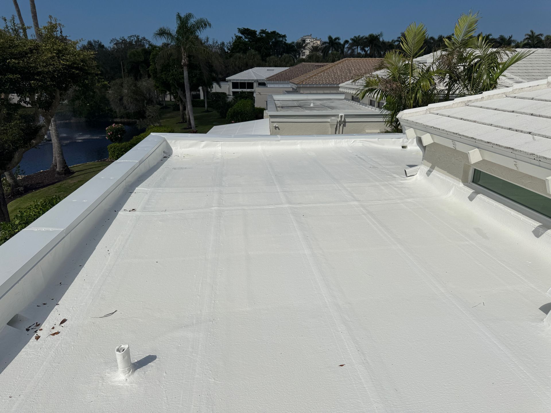 White flat roof on a building, with other houses and trees in the background under a blue sky.