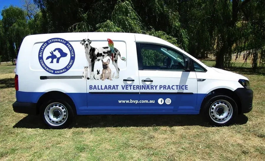 Ballarat Veterinary Practice