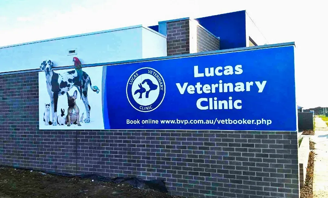 Lucas Veterinary Clinic