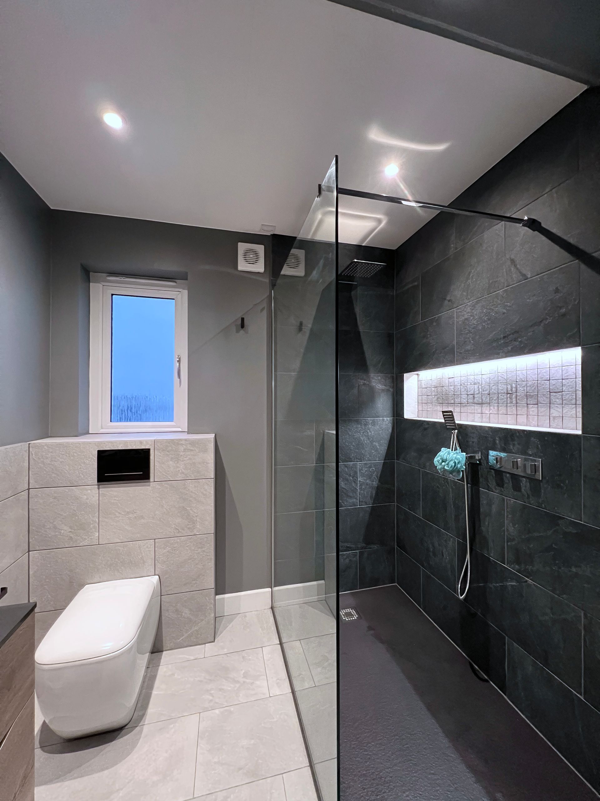 A bathroom with a toilet and a walk in shower.