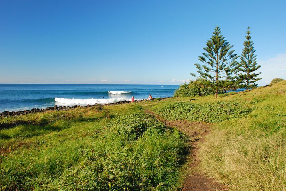 Coastal View: Grassy Path, Ocean Waves, Two Tall Trees Under a Blue Sky — Byron Floor Sanding In Lennox Head, NSW