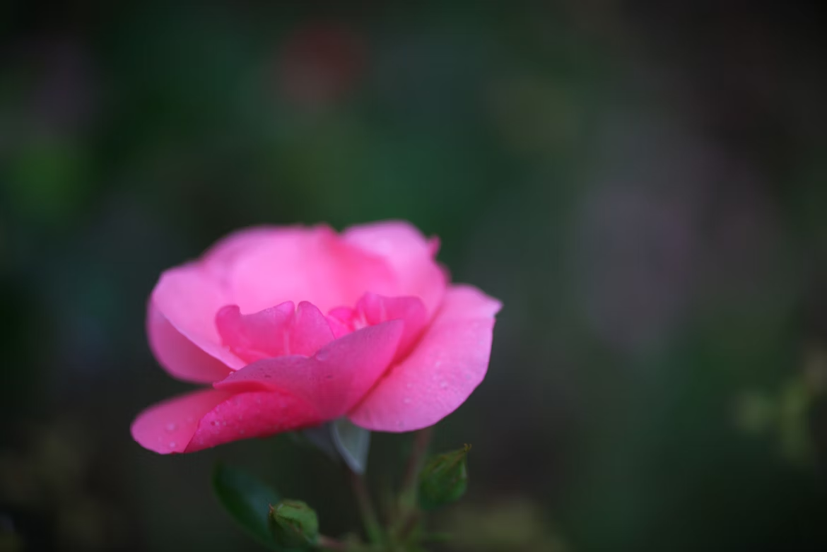 funeral homes Middletown, NY