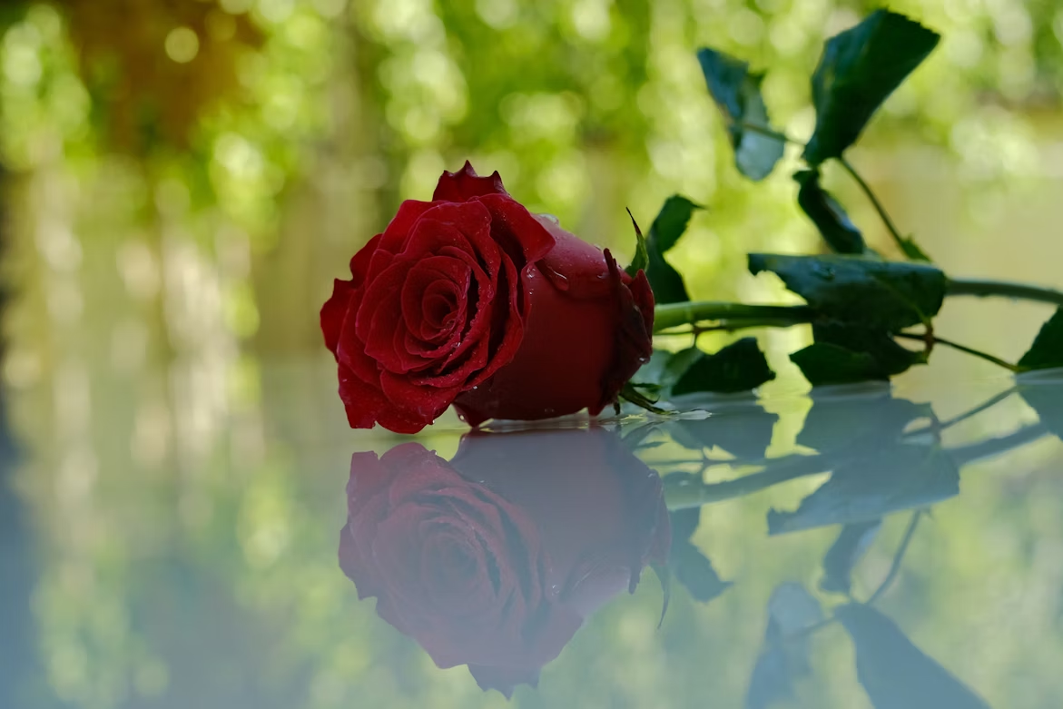 cremation services Middletown NY