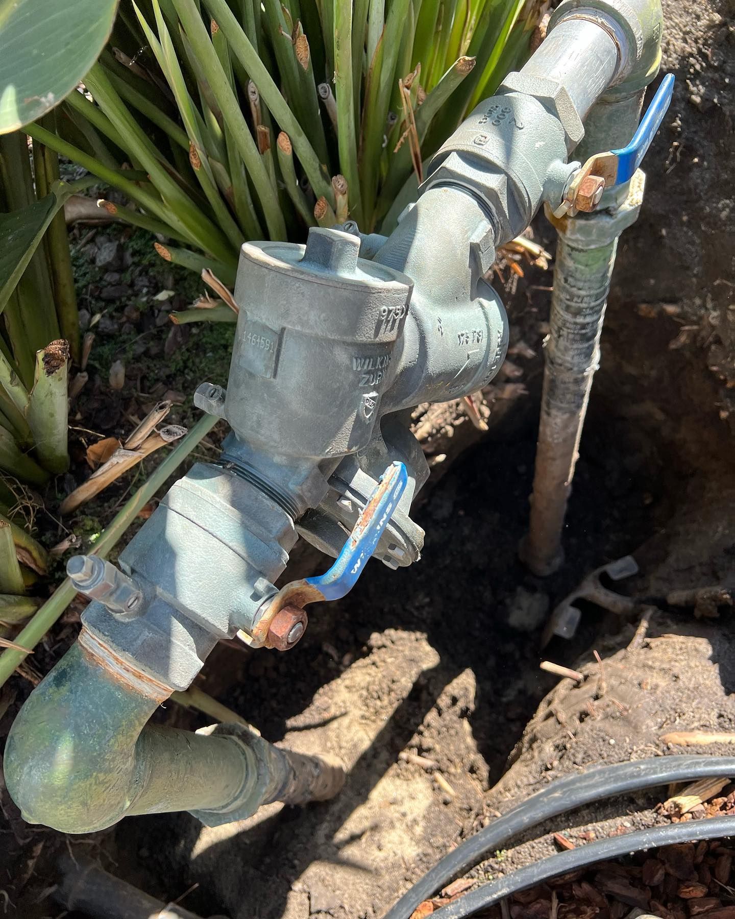 Metal irrigation valve system in a garden bed with blue handles and dirt.