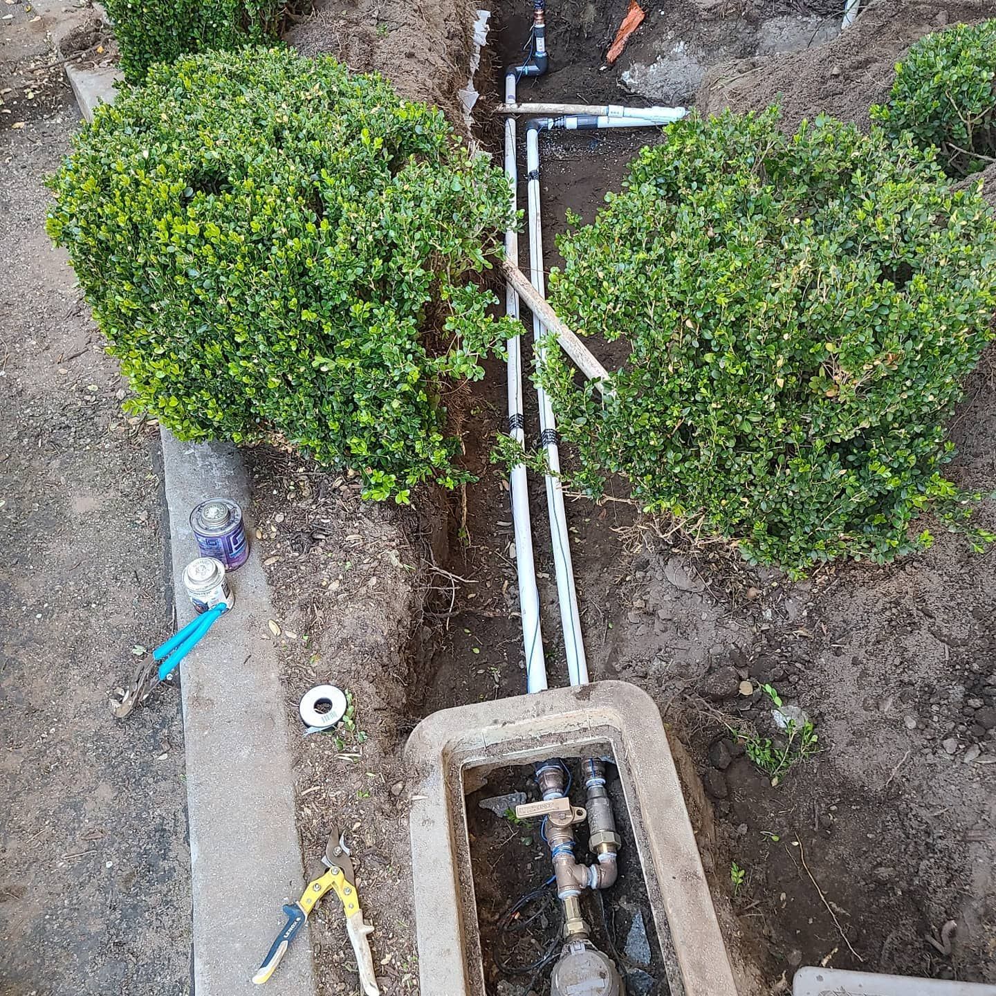 Plumbing work in progress. Sprinkler pipes in a trench near shrubs. A water meter box is open.