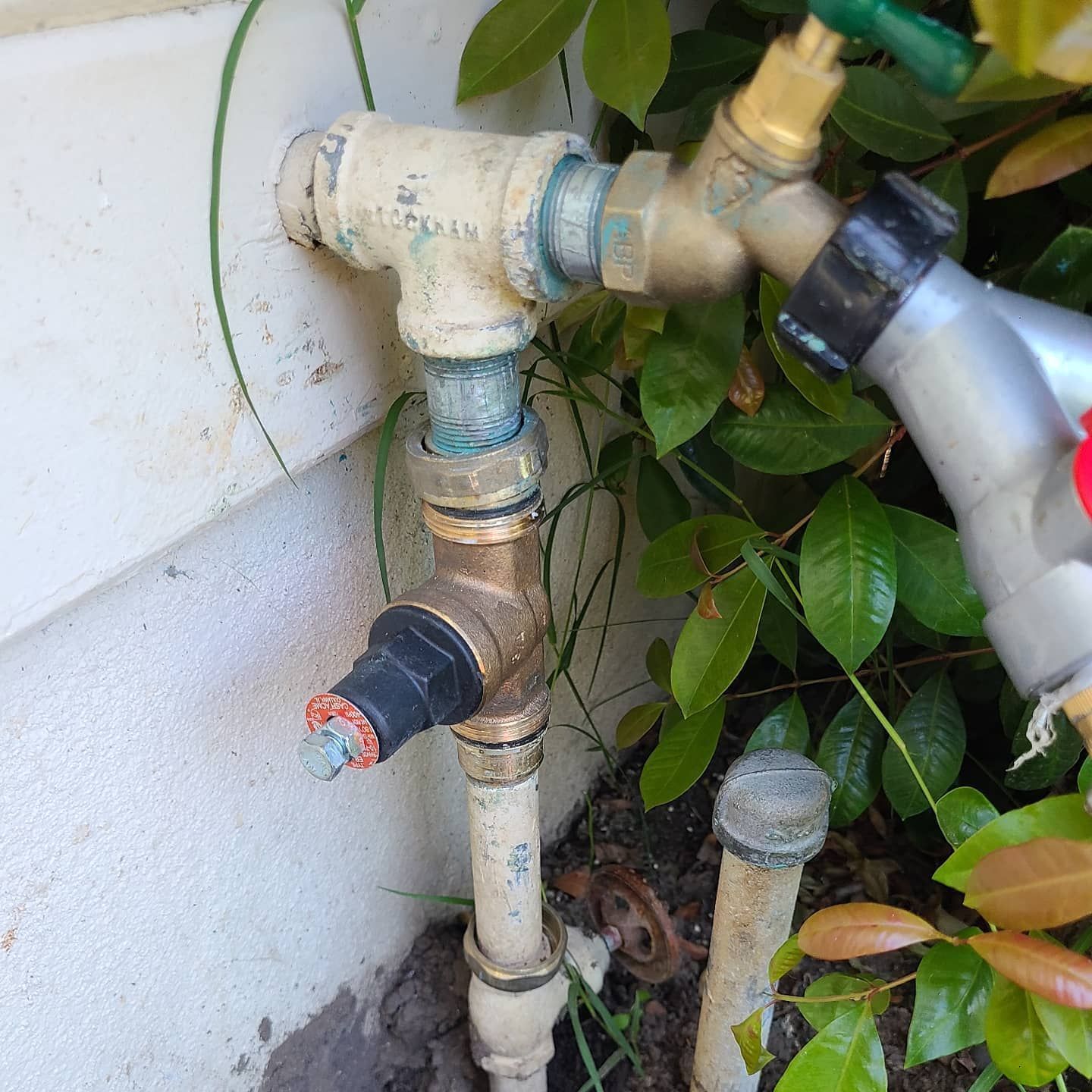 Water pipes with a valve and spigot on a wall with greenery.