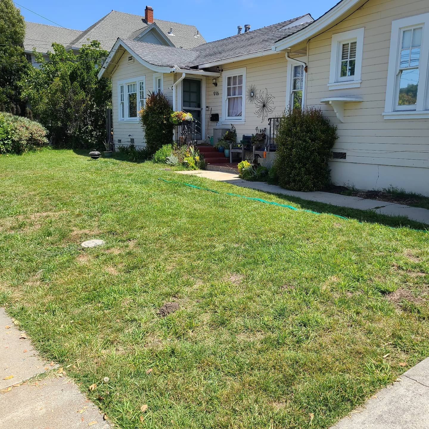 Yellow house with a lawn, shrubs, and sidewalk. Sunny day.