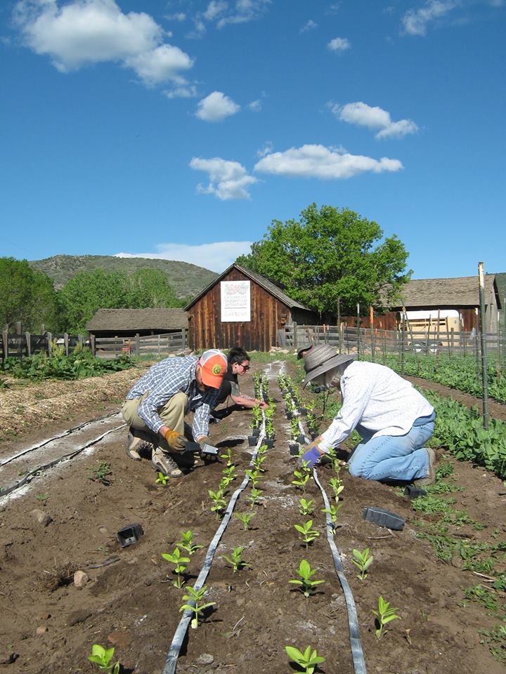 Veterans To Farmers Courses