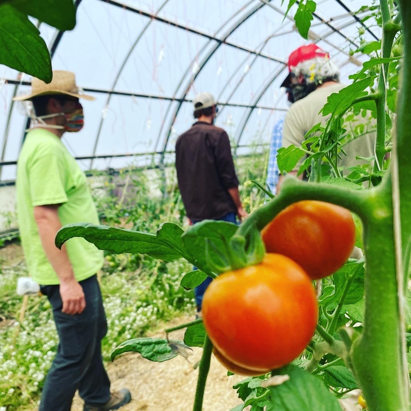 Market Farming - Denver Botanic Gardens Chatfield Farms
