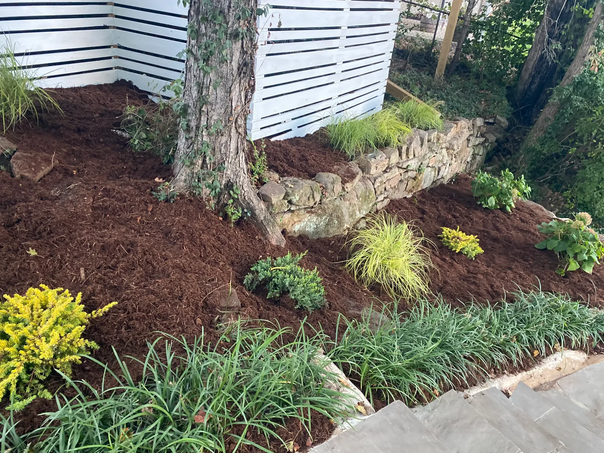 Landscaped garden bed with mulch, various green plants, and a stone retaining wall.