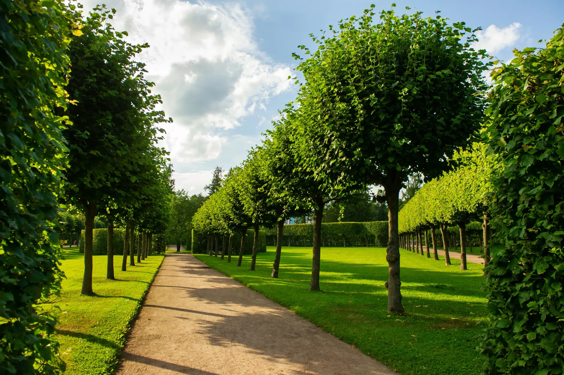 Pathway lined with evenly spaced, spherical-crowned trees and trimmed hedges under a partly cloudy sky.