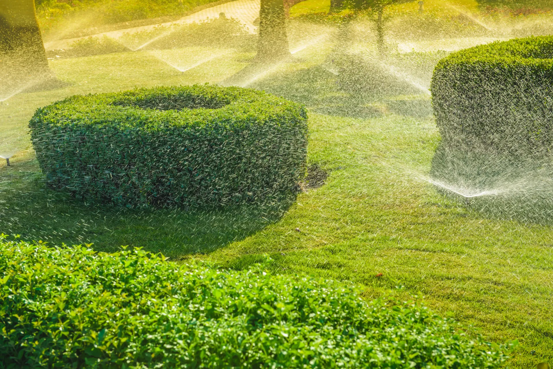Sprinklers watering lush green grass and trimmed hedges in a sunny outdoor setting.