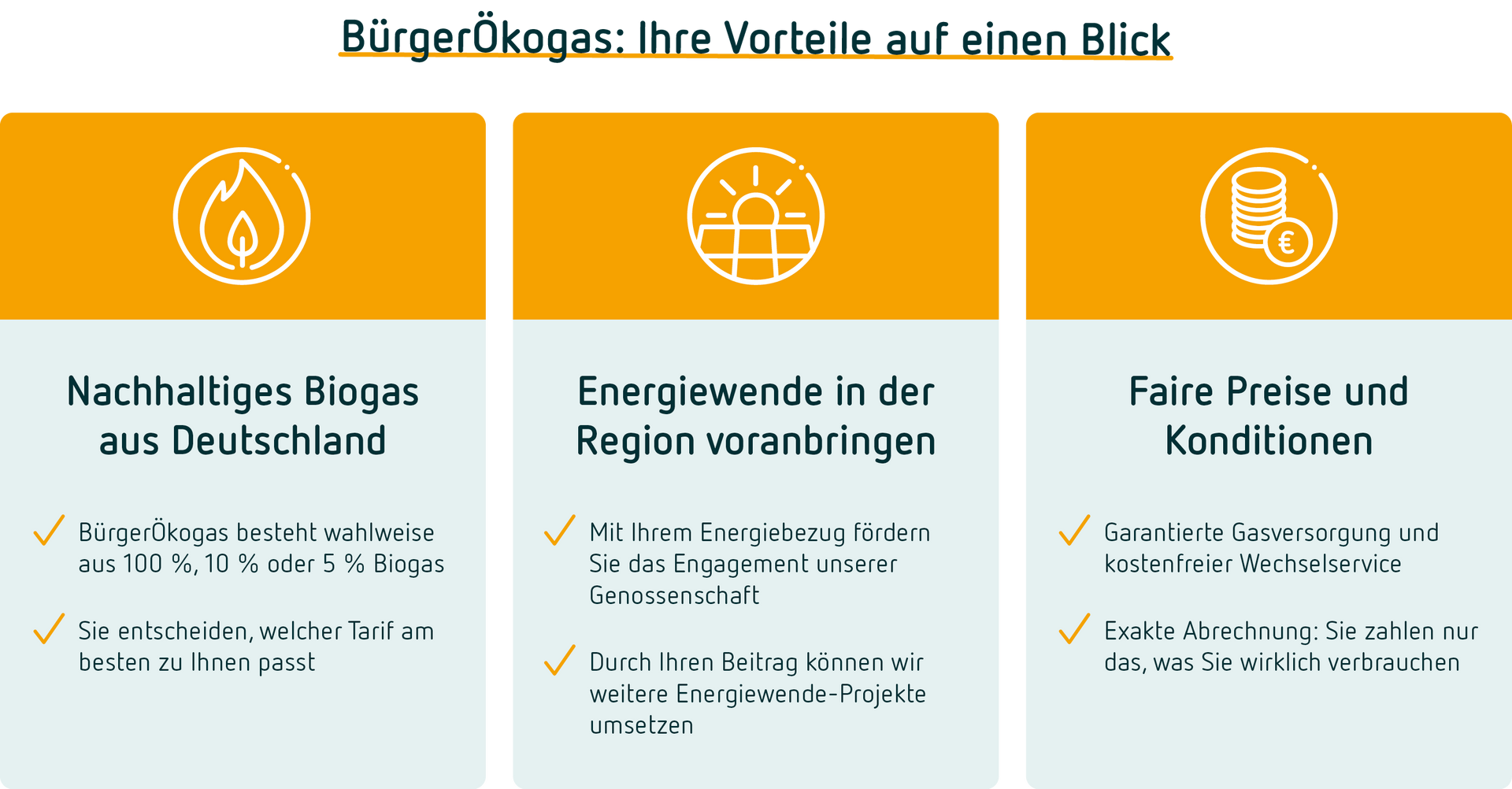 Vorteile Bürgerstrom